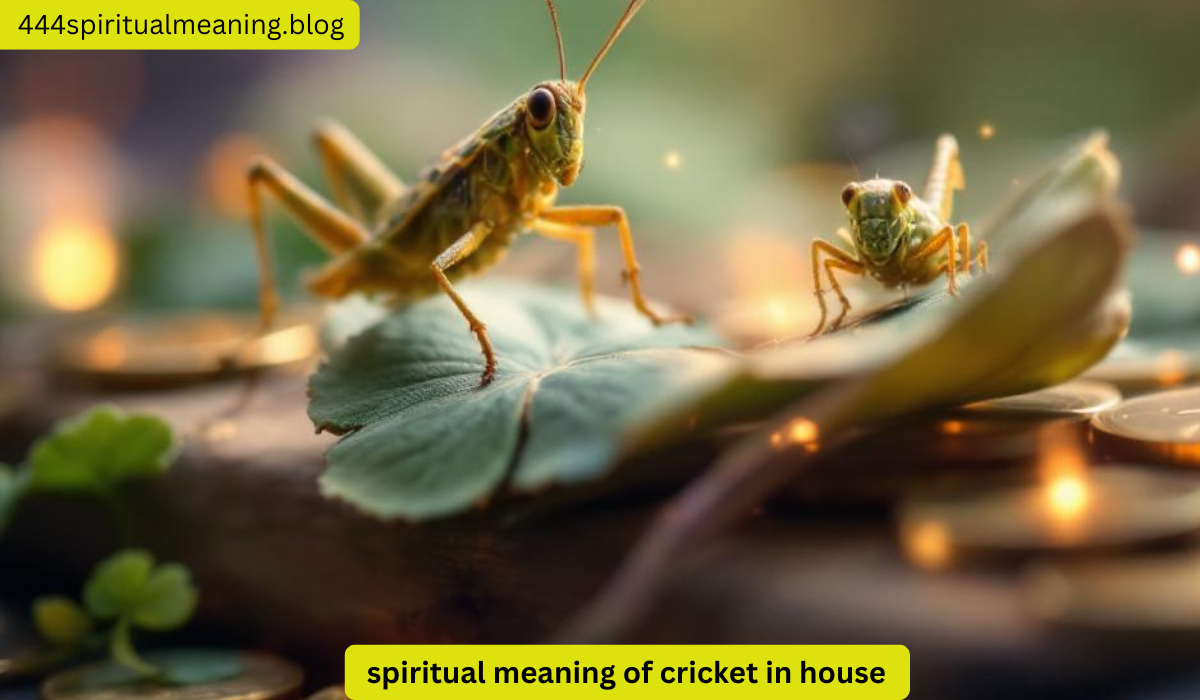 10-spiritual-meaning-of-cricket-in-house